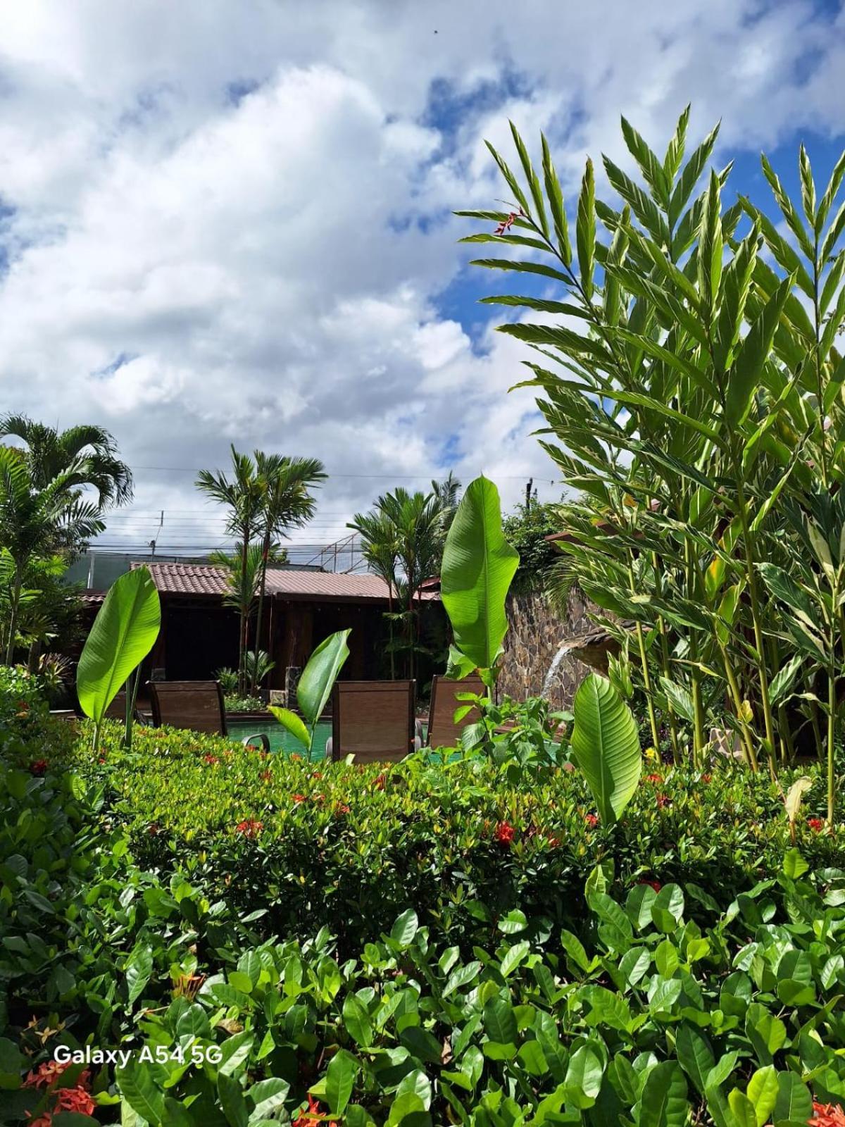 Hotel Iris Arenal La Fortuna 외부 사진